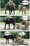 D13.-Humour-Insolite-Ca-Urge-Pas-de-Temps-a-Perdre-.jpg