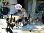 D14.-Humour-Chachachats-Plus-.jpg